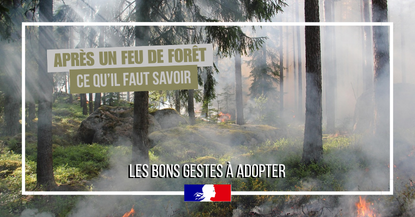 Image d'une forêt en flamme, avec inscrit : - Après un feu de forêt, ce qu'il faut savoir
